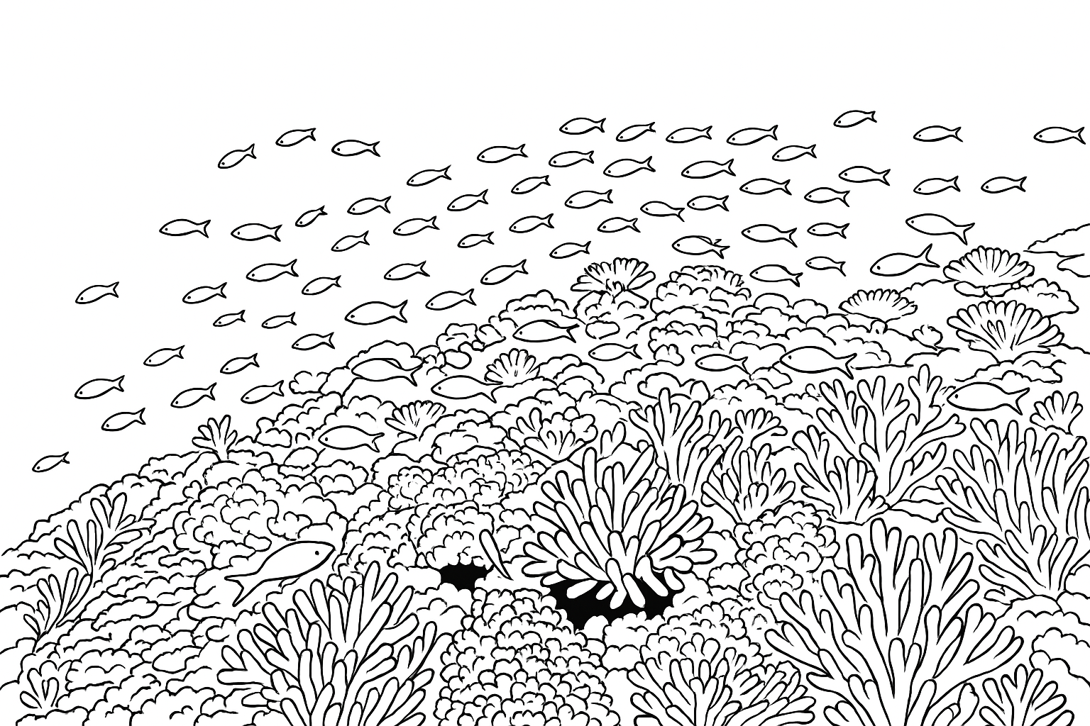 Coloring page of Coral Reef