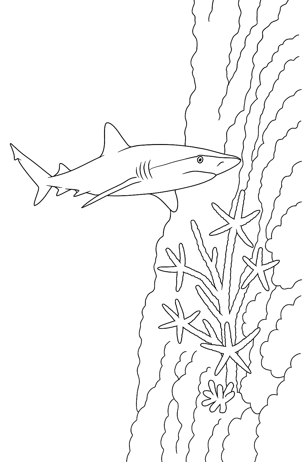 Coloring page of Sharks And Starfish