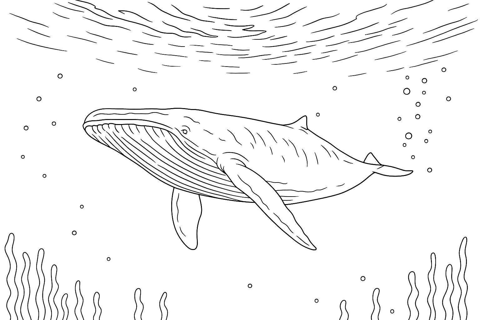 Coloring page of Whale